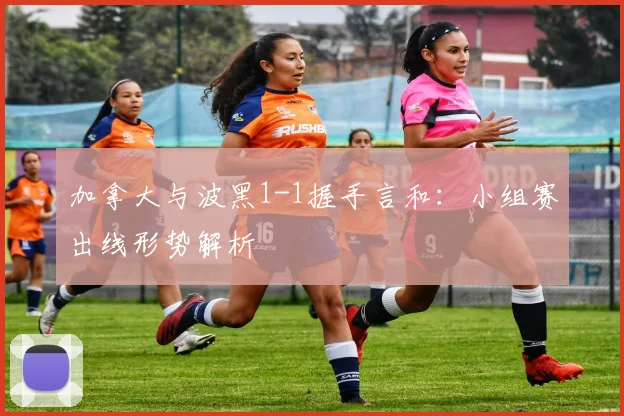 加拿大与波黑1-1握手言和：小组赛出线形势解析