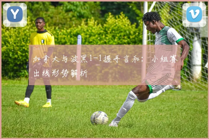 加拿大与波黑1-1握手言和:小组赛出线形势解析