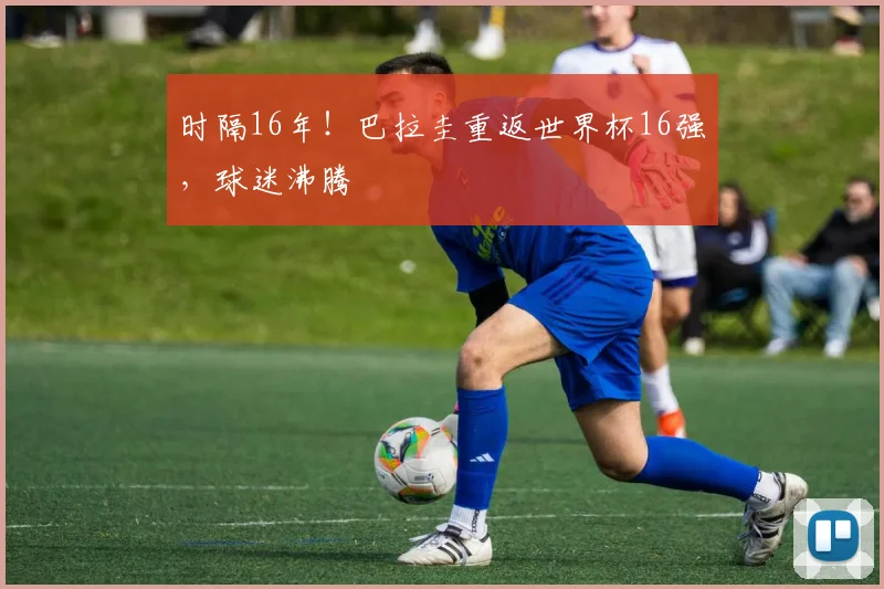 时隔16年！巴拉圭重返世界杯16强，球迷沸腾