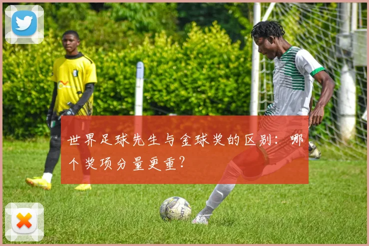 世界足球先生与金球奖的区别：哪个奖项分量更重？